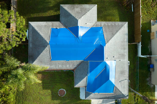 Best Rubber Roofing (EPDM, TPO)  in Bicknell, IN