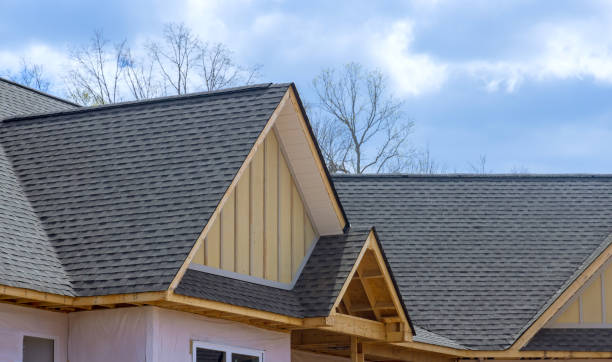 Best Roof Maintenance and Cleaning  in Bicknell, IN